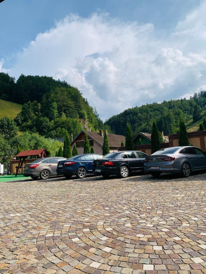 Pensiune Restaurant Piatra Craiului Дымбовичоара Экстерьер фото