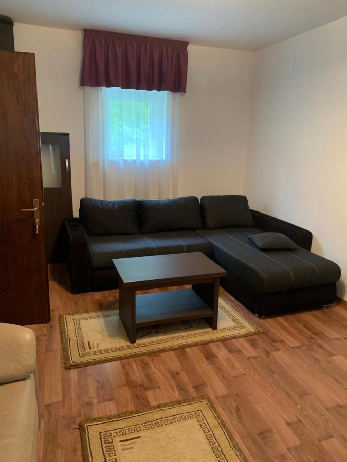 Pensiune Restaurant Piatra Craiului Дымбовичоара Экстерьер фото