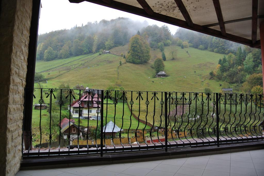 Pensiune Restaurant Piatra Craiului Дымбовичоара Экстерьер фото